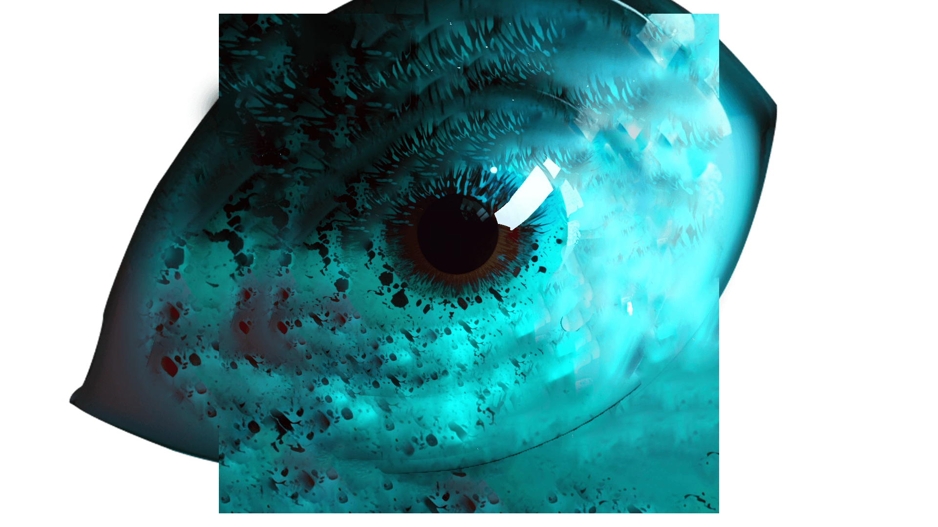 eye